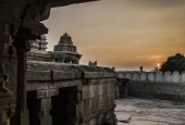 IIP Online Student Photography
