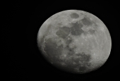 IIP Online Student Photography