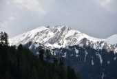 IIP Online Student Photography