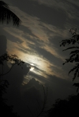 IIP Online Student Photography