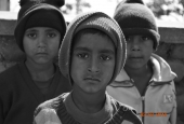 IIP Online Student Photography
