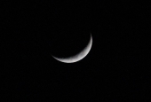 IIP Online Student Photography