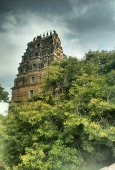 IIP Online Student Photography