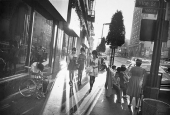 IIP Online Student Photography
