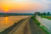 IIP Online Student Photography