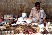 IIP Online Student Photography