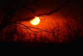IIP Online Student Photography