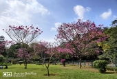IIP Online Student Photography