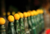 IIP Online Student Photography