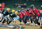 IIP Online Student Photography