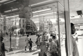IIP Online Student Photography