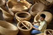 IIP Online Student Photography