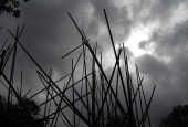 IIP Online Student Photography