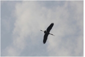 IIP Online Student Photography