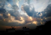 IIP Online Student Photography
