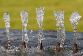 IIP Online Student Photography