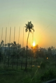 IIP Online Student Photography