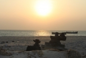 IIP Online Student Photography