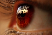 IIP Online Student Photography