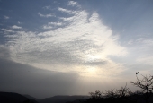 IIP Online Student Photography
