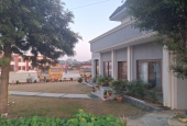 IIP Online Student Photography
