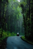 IIP Online Student Photography
