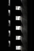 IIP Online Student Photography