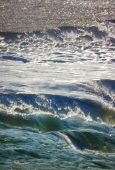 IIP Online Student Photography