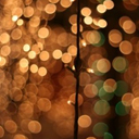 The Bokeh Effect - Photography Basics