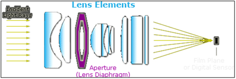 Basics Understanding Camera Lenses: A Beginners Guide