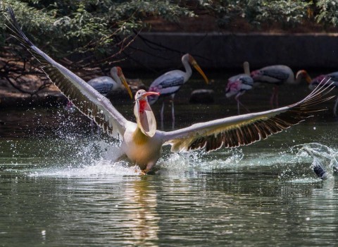 1 Month Online Beginners Photography Course